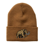 Santa Fe Beanie Beanie
