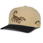 Scorpion Hat