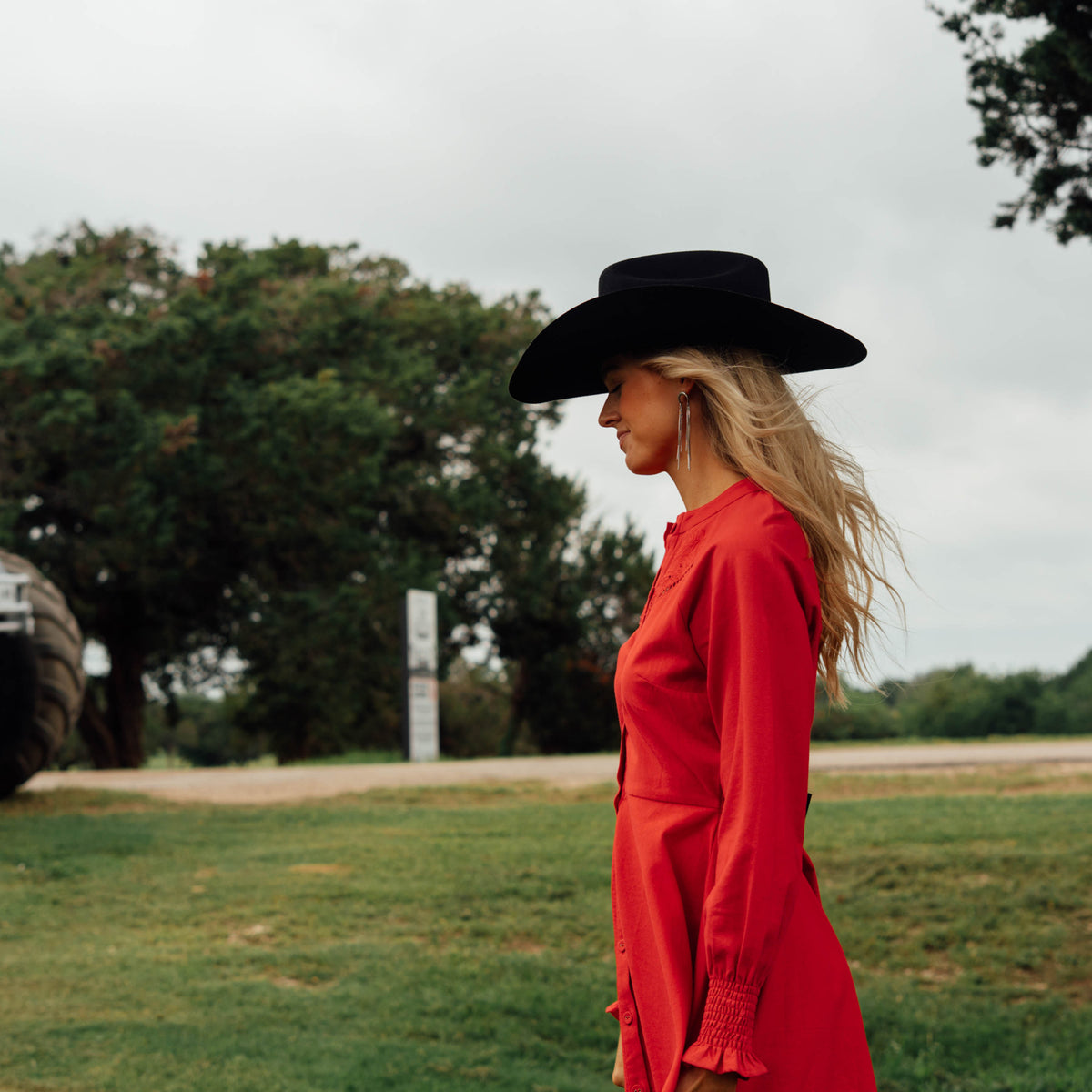 Dottie Western Dress - Mesa Rose