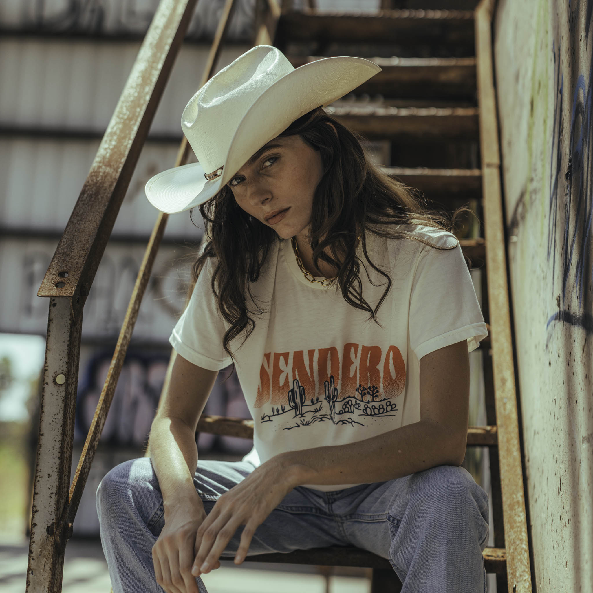 Desert Dreams Boxy Tee