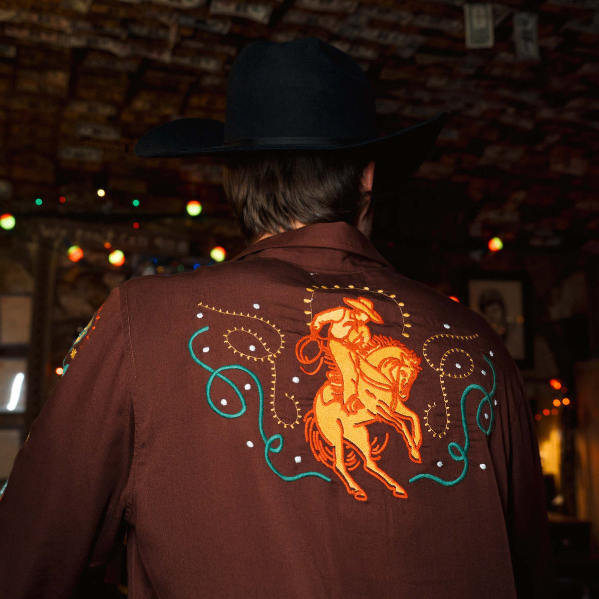 Show Pony Embroidered Western Pearl Snap Long Sleeve Shirt - Electric Brown