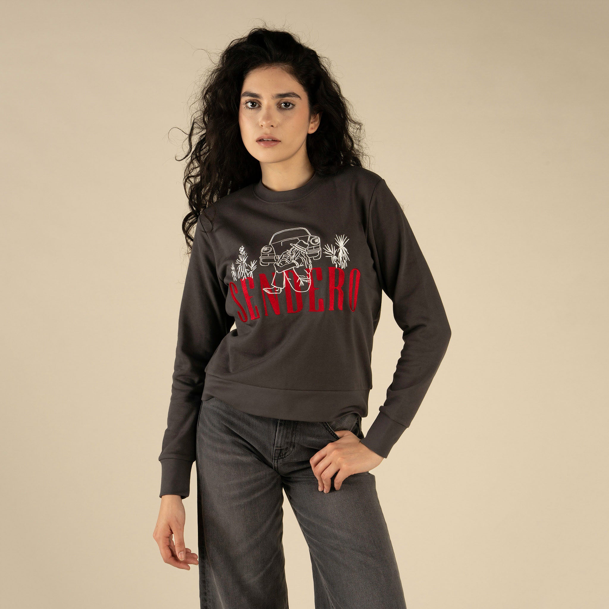 Desert Drifter Drop Shoulder Sweatshirt