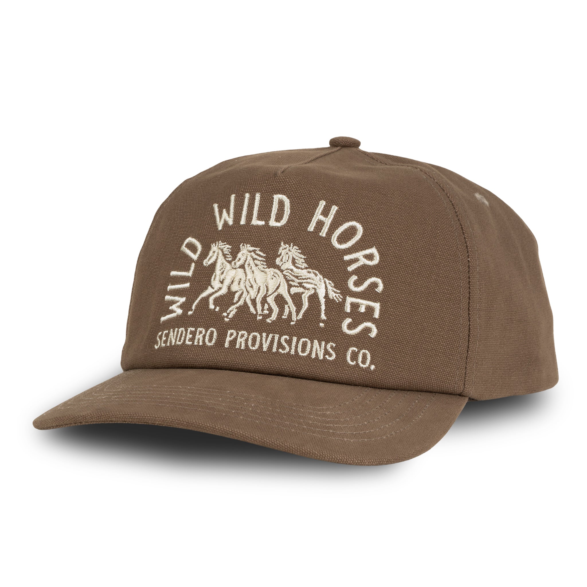 Wild Wild Horses Hat