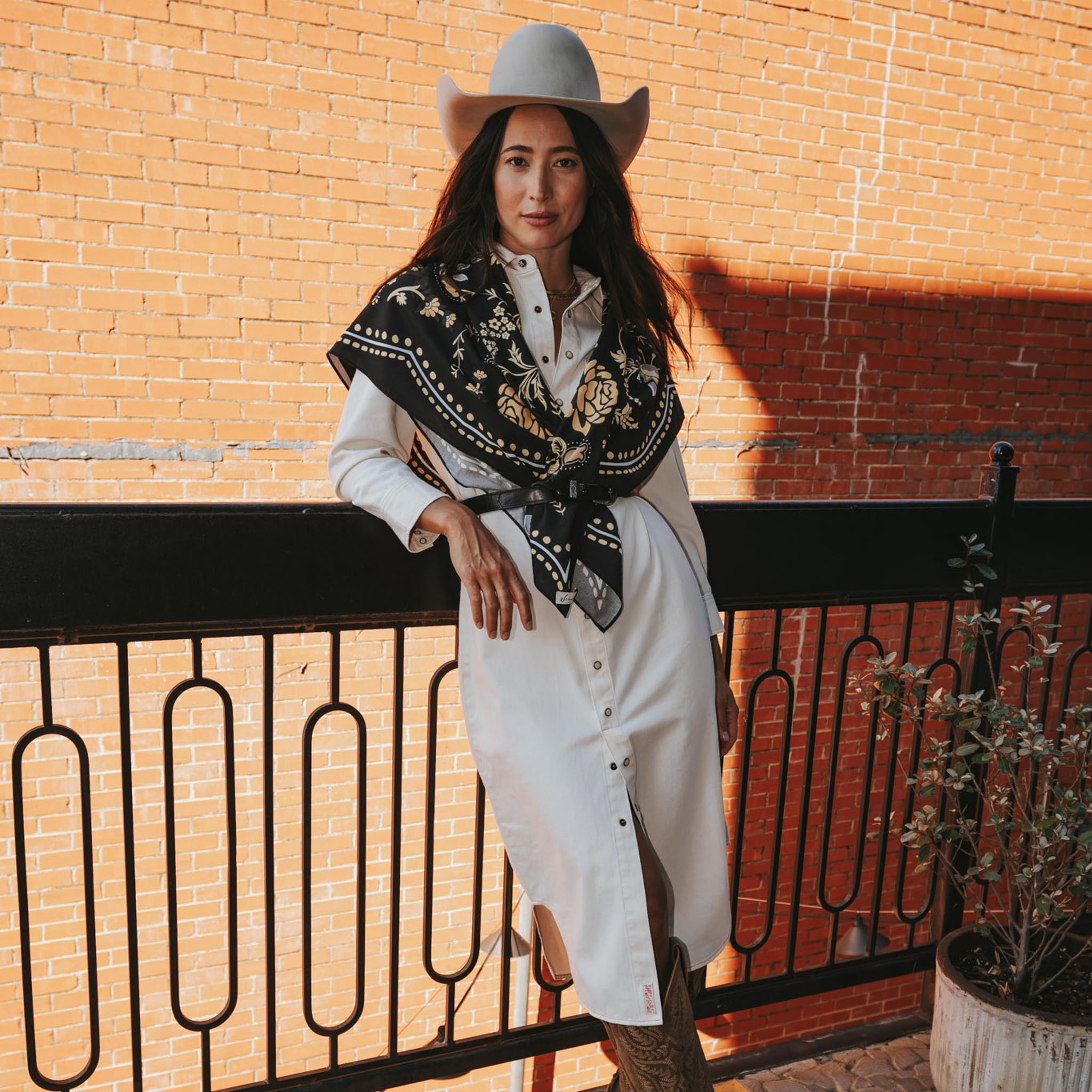 The Annie Pearl Snap Shirtdress