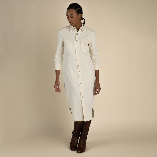 The Annie Pearl Snap Shirtdress