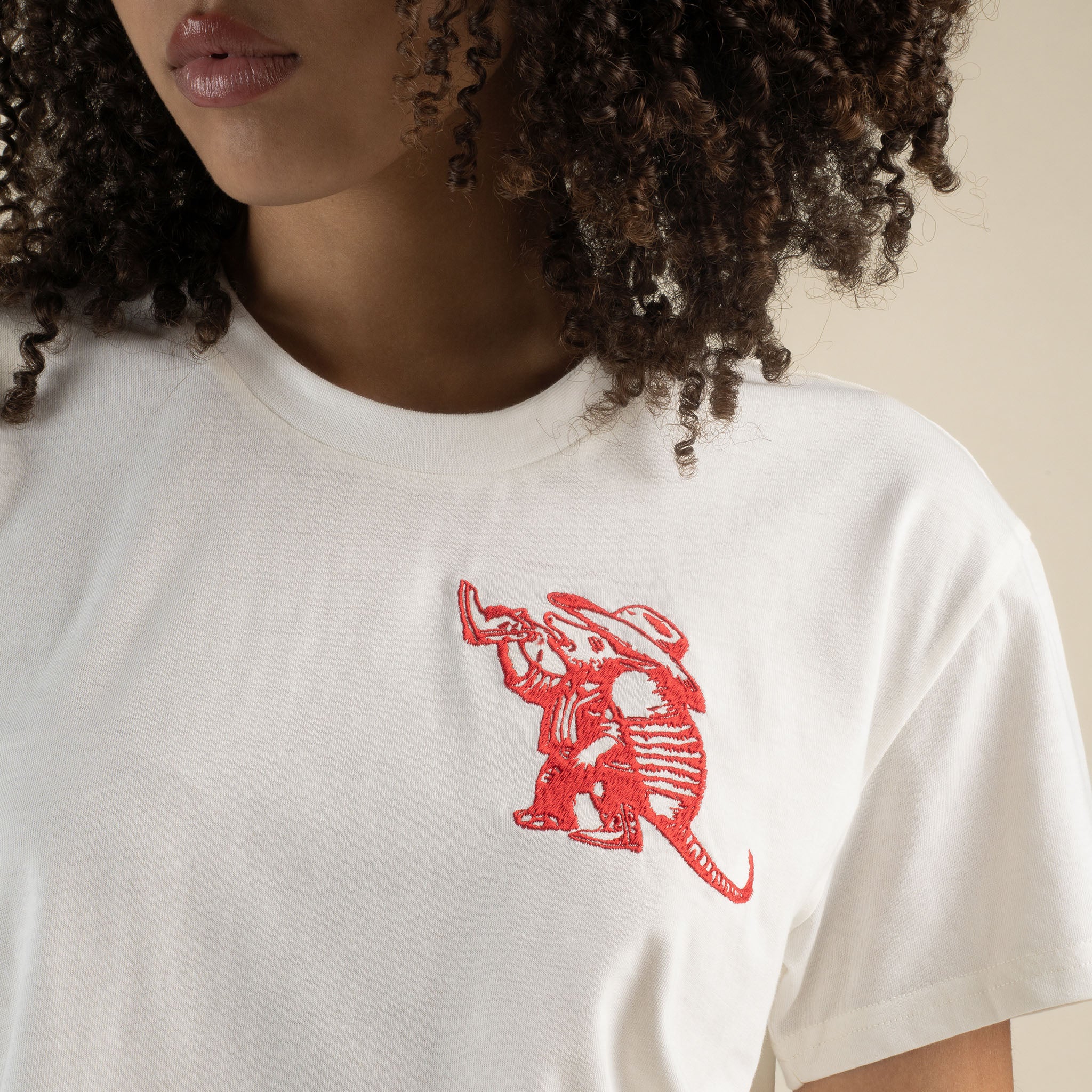 a*p様 main story／EXCLUSIVE tee Armadillo Boxy Tee – Sendero Provisions Co.