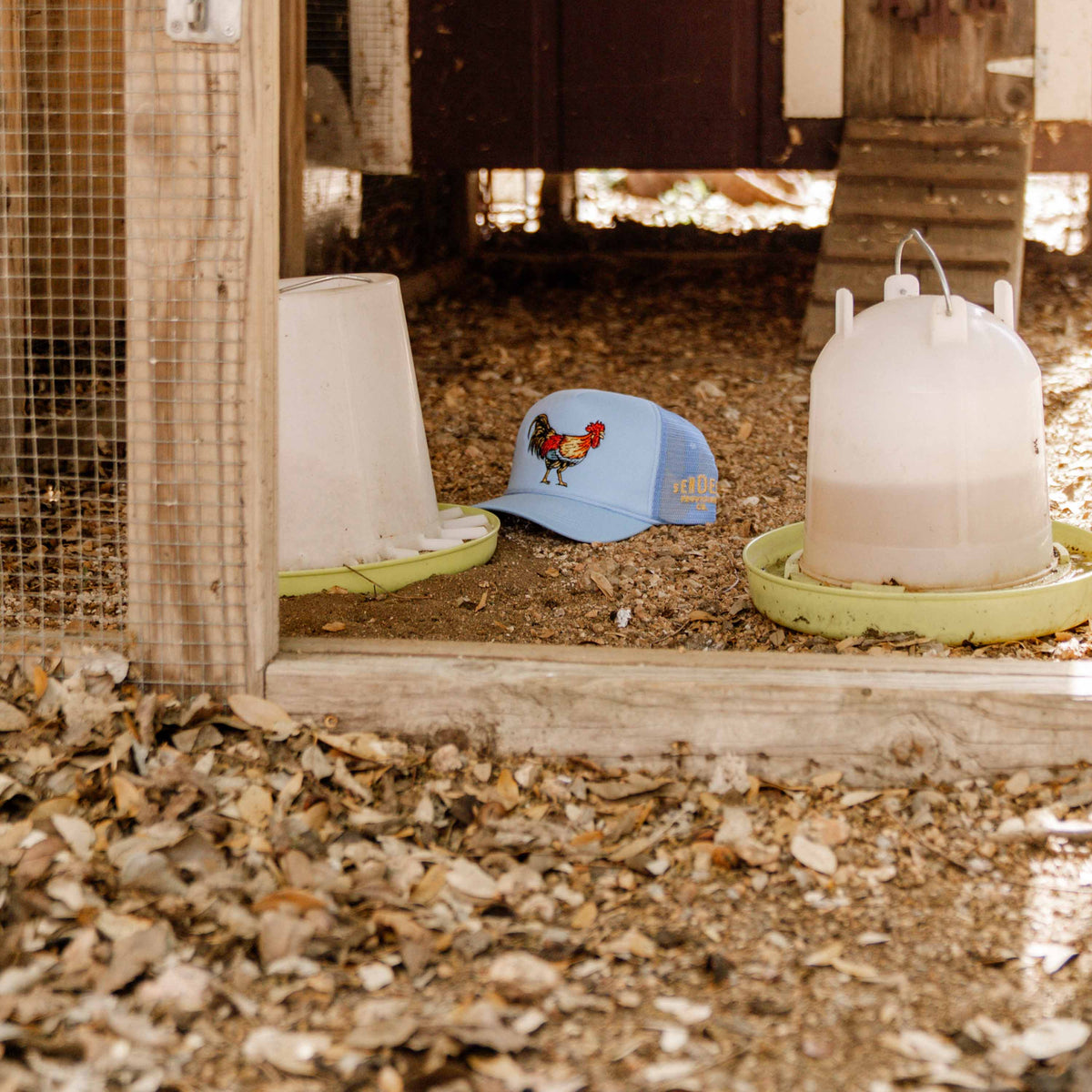 Yardbird Hat - Blue