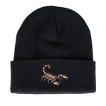 Santa Fe Beanie Beanie